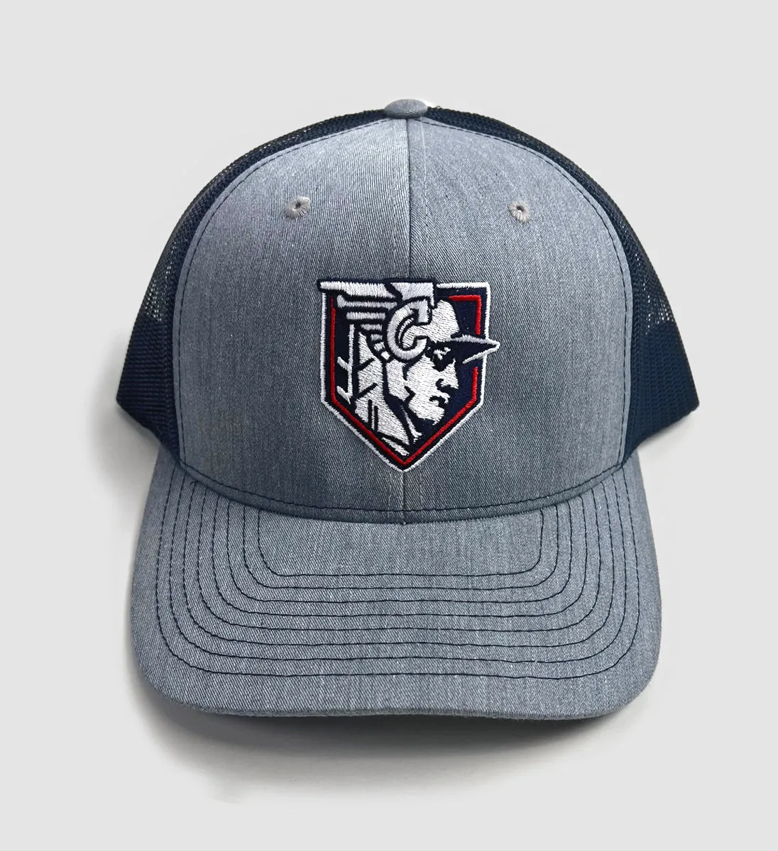 Cleveland Baseball Statue Mesh Snap Back Grey/Navy